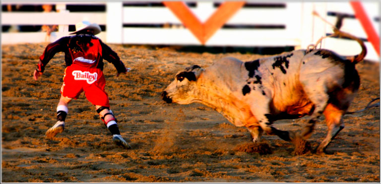Run bailey run